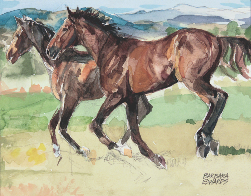 Roaming Free by Barbara Edwards