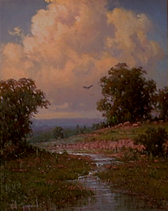 Little Falls by Cal Gaspard