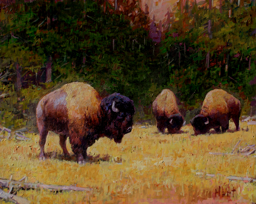 Timberline by Brian Hart