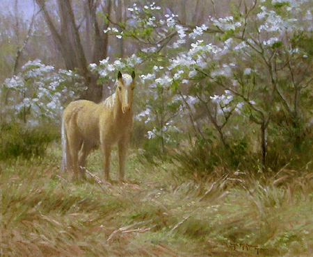 The Palomino by Julia McKee