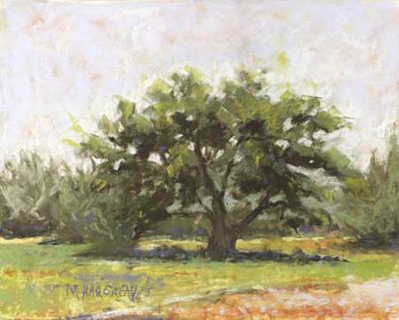 Oak on Dixie Dude Ranch by