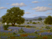 Royce Roberts
