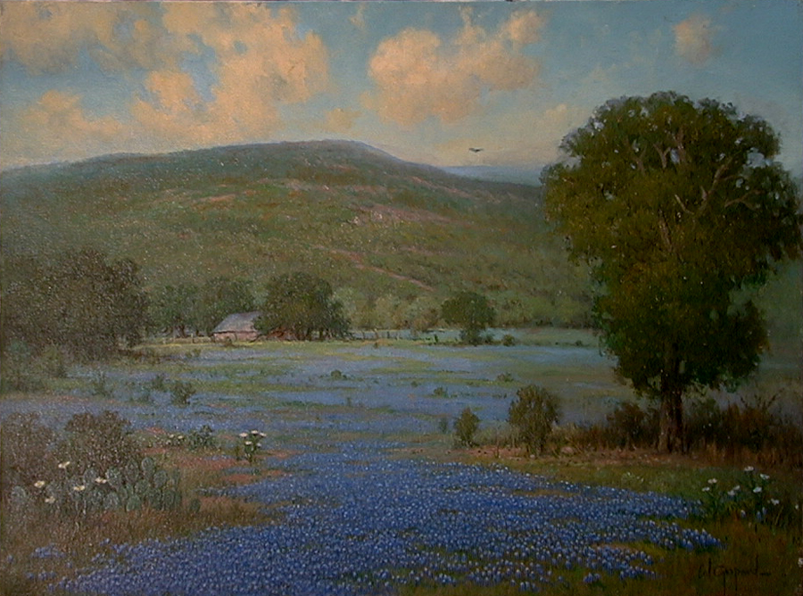 Hill Country Bluebonnets by Cal Gaspard